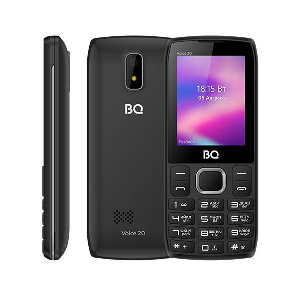 Телефон BQ 2400L Voice 20 (Темно-серый)